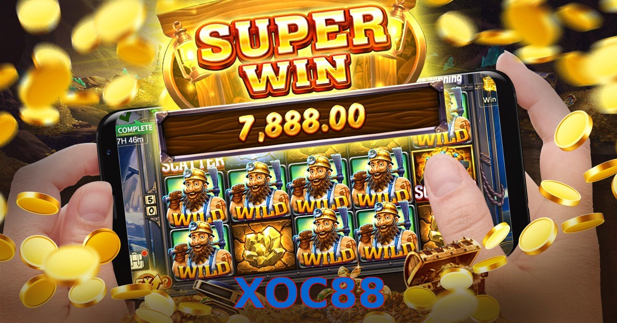 XOC88