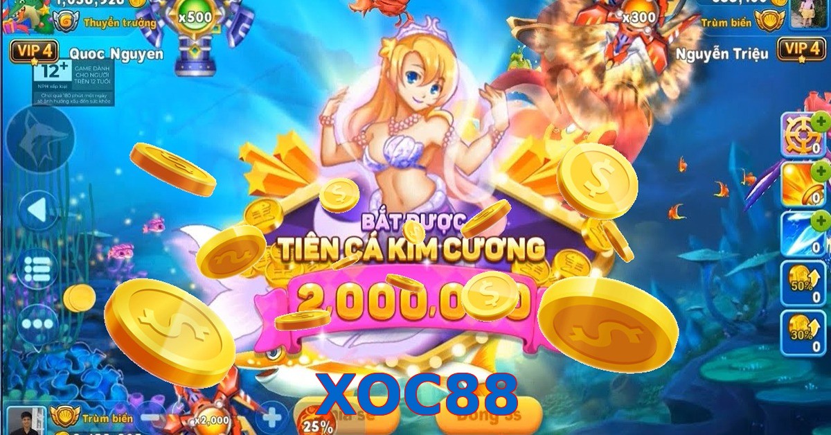 XOC88