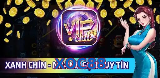 XOC88