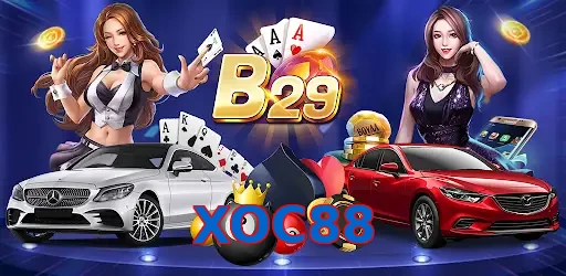 XOC88