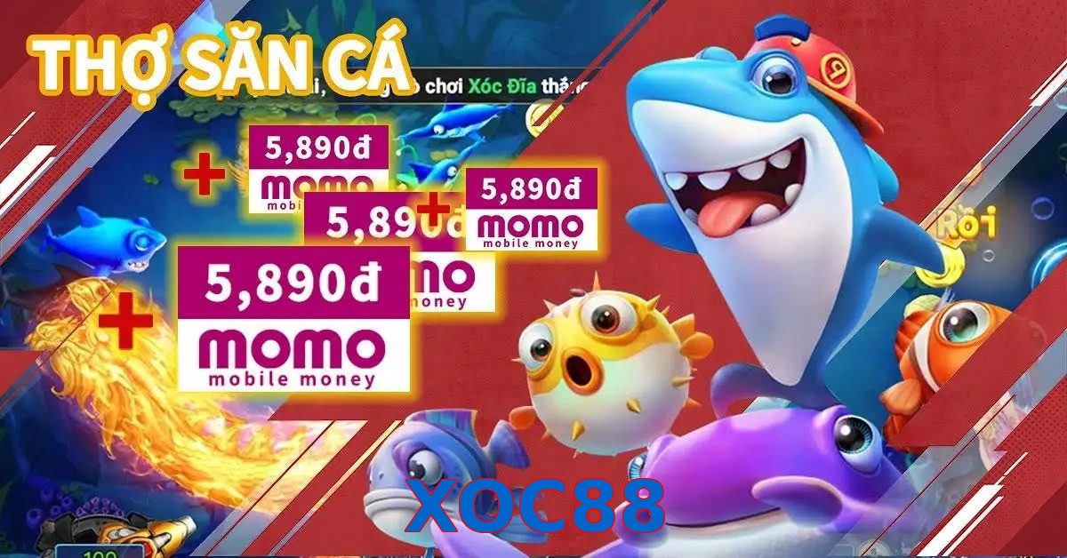 XOC88