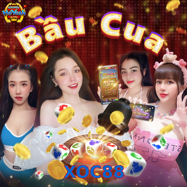 XOC88