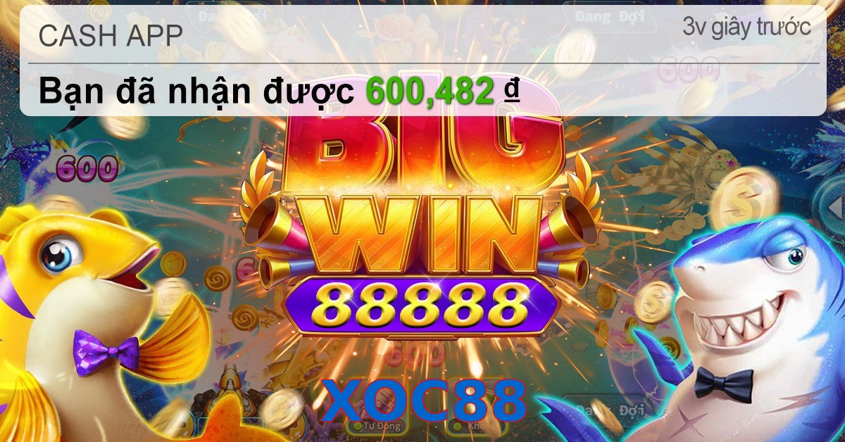 XOC88