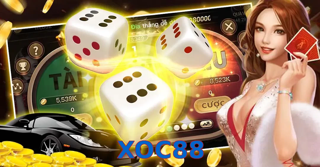 XOC88