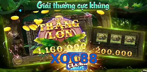 XOC88