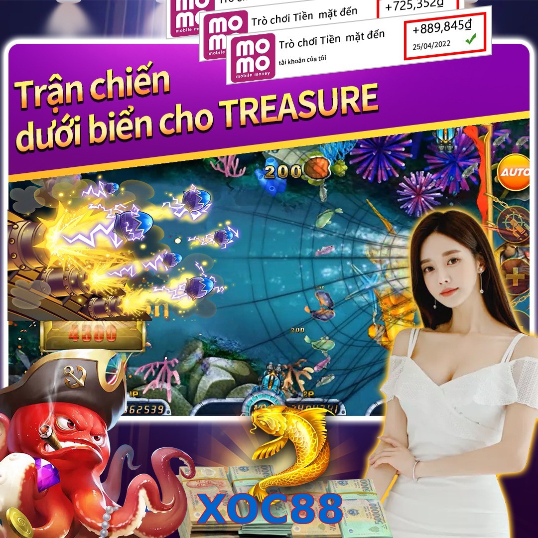 XOC88