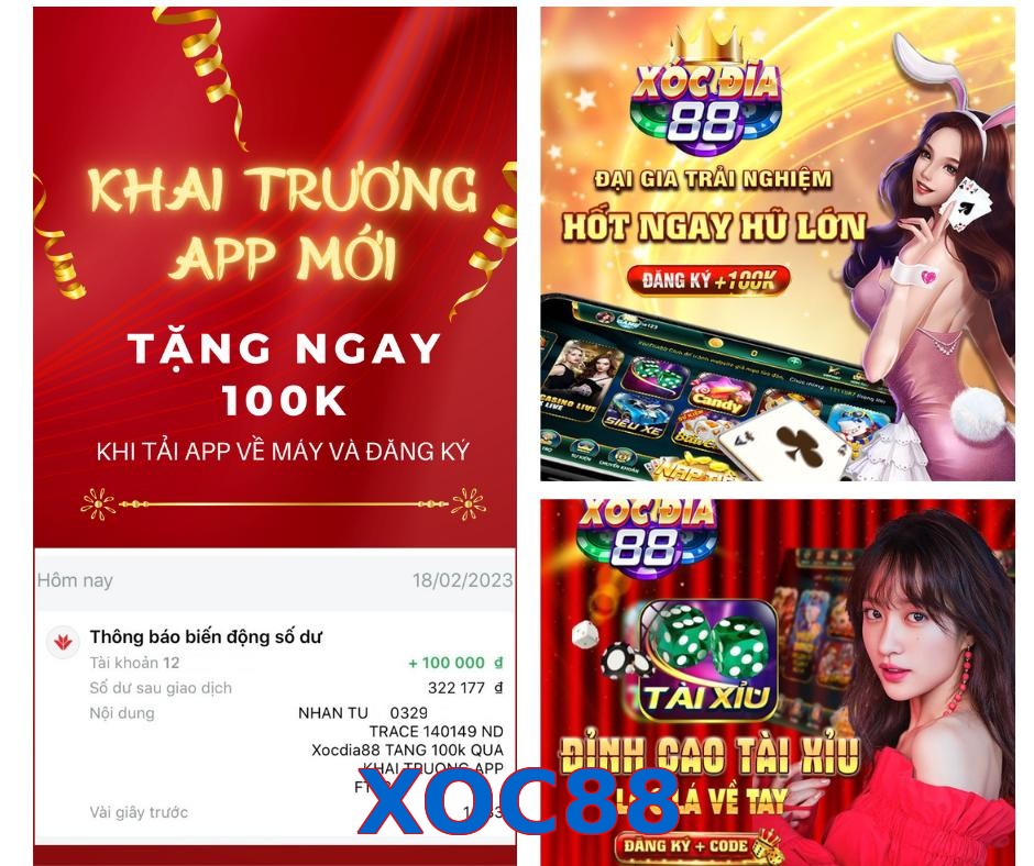XOC88